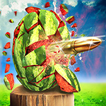 Watermelon Shooting 3D